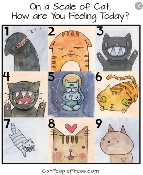 On a scale of cat, how you are you feeling today? | How are you feeling ...