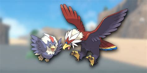 Rufflet Evolution