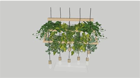 suspension plantes | 3D Warehouse | Hanging plants, Creepers plants ...