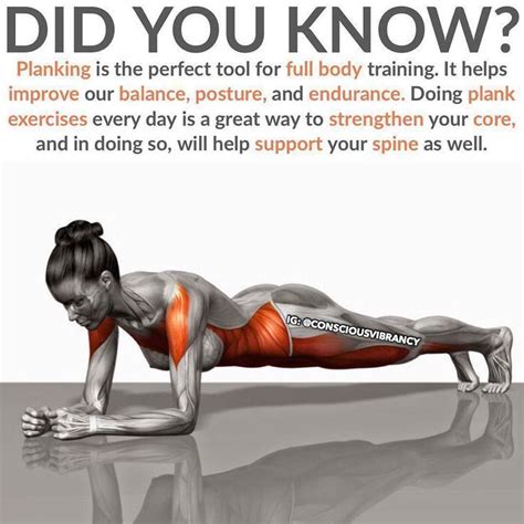 Rock Solid Abs & Core With These 11 Plank Variations | Plank workout ...