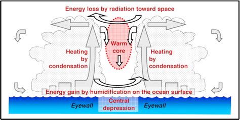 Formation Of A Cyclone Diagram