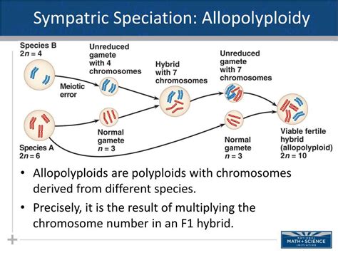 PPT - Macroevolution: Part III Sympatric Speciation PowerPoint ...