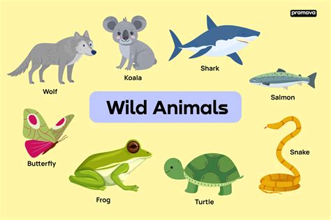 Wild Animals Names And Descriptions In English