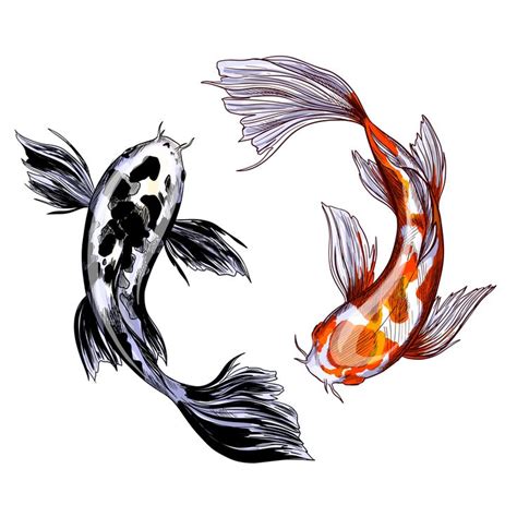 Two koi carps, with red and black spots, hand drawn vector illustration ...