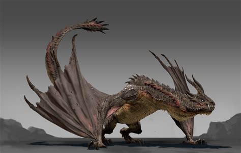 ArtStation - Wyvern concept