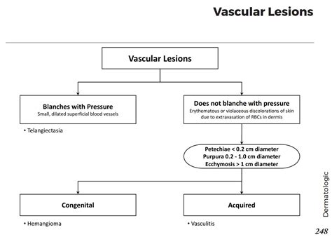 Vascular Skin Lesions Pictures - Ajor Png