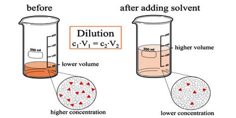 Dilution - Assignment Point