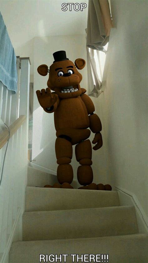 Pin by リリー on Fnaf stuff | Fnaf cosplay, Freddy fazbear, Fnaf characters