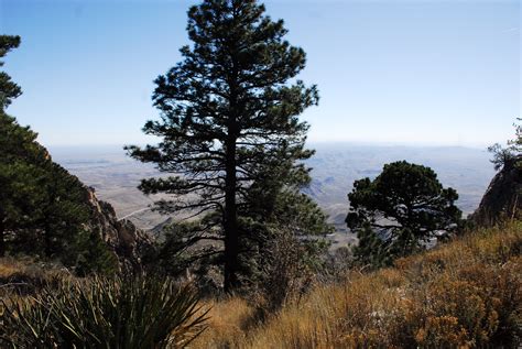 Texas Mountain Trail Daily Photo: Texas Mountain Trail Classics Week ...