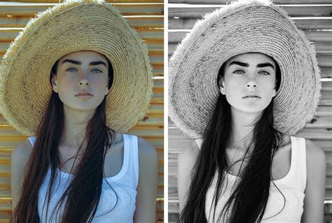 350 FREE Portrait Lightroom Presets - Download Now!