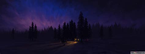 Night Forest Art 4K wallpaper download