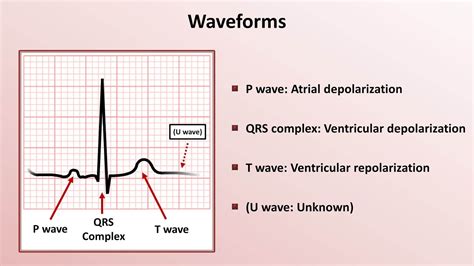 HOW TO READ ECG FOR NURSES - Nursing Manthra