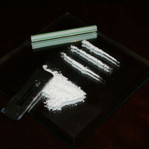 Cocaine and Benzoylecgonine Drug Test Kits - Zoom Testing