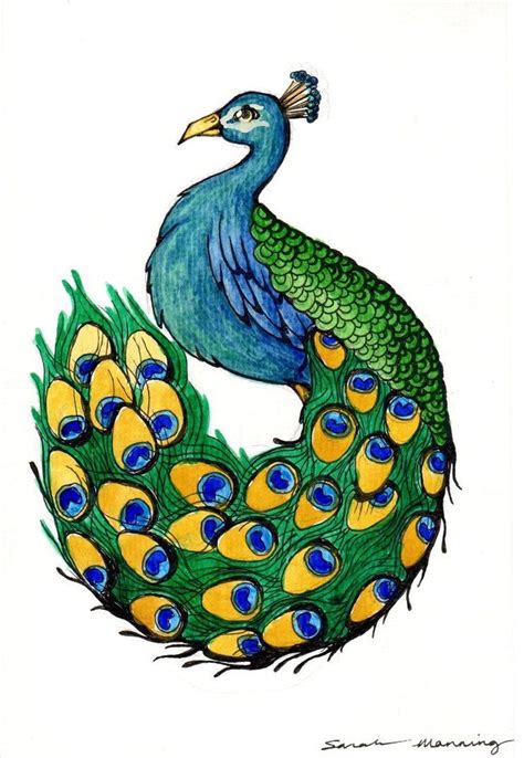 How To Paint A Peacock Easy at Corene Marion blog