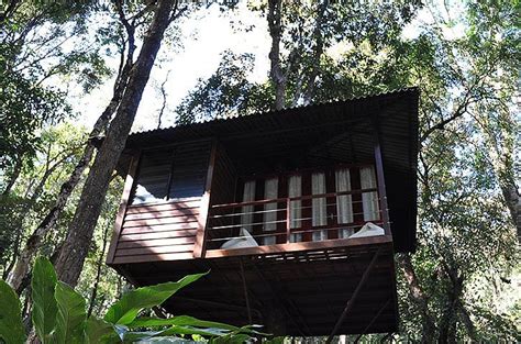 Tree House at Wayanad - Nearby Vythiri Village