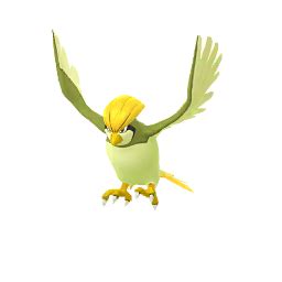 Pidgeotto (Pokémon GO) - Best Movesets, Counters, Evolutions and CP