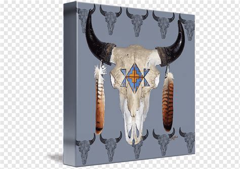 Buffalo Skull, American Bison - www.weeklybangalee.com