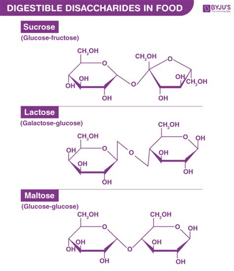 Structure Of Maltose Lactose And Sucrose