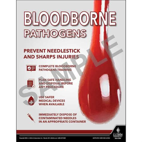 Bloodborne Pathogens - Workplace Safety Training Poster