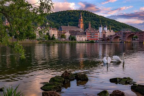 At the Neckar river, Heidelberg, Germany