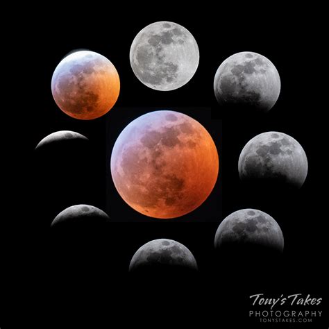 The phases of the lunar eclipse | Tony's Takes Photography