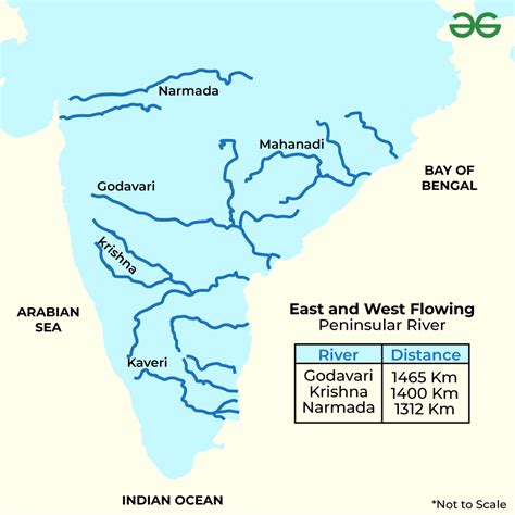 What are the features of east and west flowing rivers of Peninsular ...