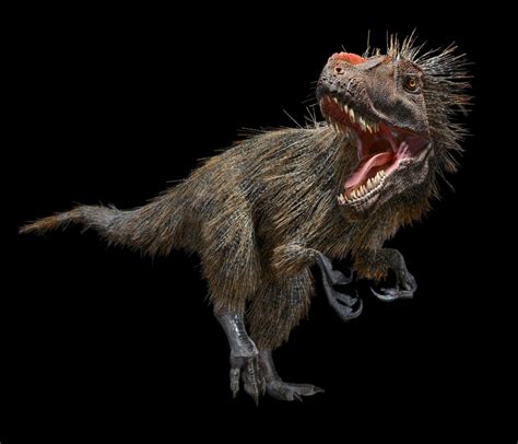 Here's What Feathered Dinosaurs Looked Like - Core77