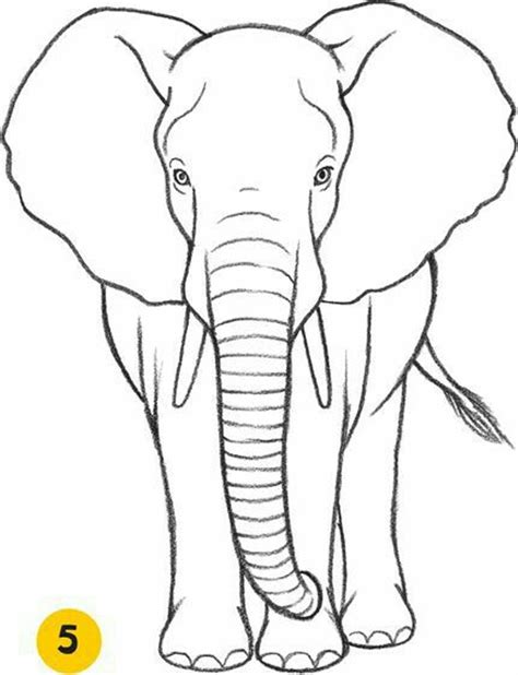 Easy Elephant Drawing Images – Warehouse of Ideas