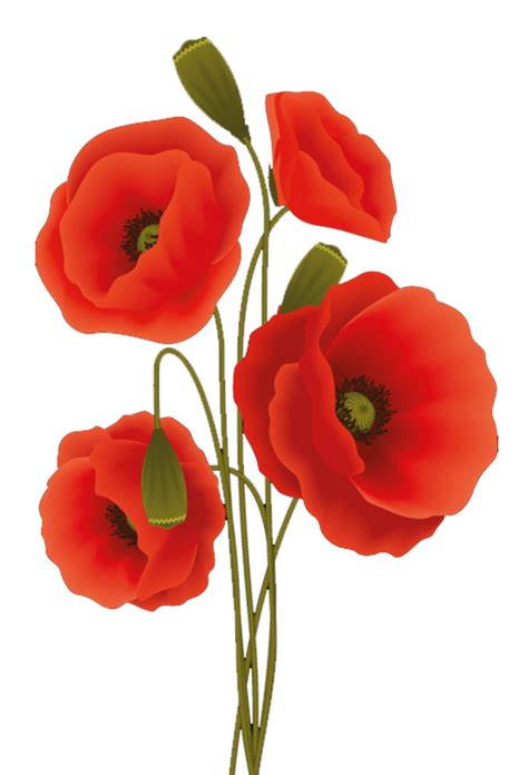 Poppy Flower Stencil Patterns - 15 Free PDF Printables | Printablee