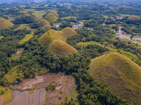 Aerial View of the Chocolate Hills Stock Image - Image of countryside ...