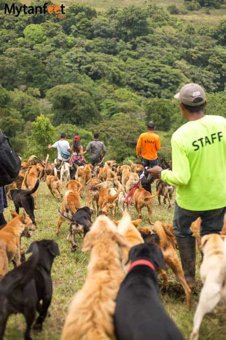 Visiting Territorio de Zaguates, the Land of Strays in Costa Rica