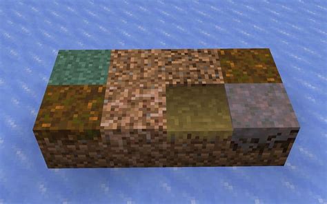 All types of dirt blocks in Minecraft