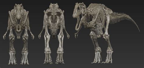 ArtStation - Giganotosaurus skeleton, Vitamin Imagination Rubens ...