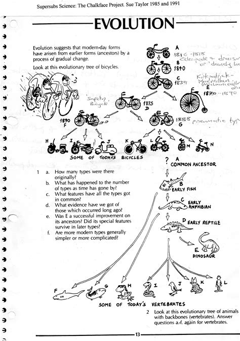 Worksheet on evolution, using bicycles as a metaphor, before evolution ...