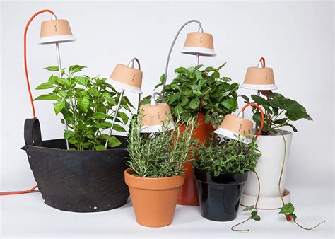 Cynara Grow Light — Shoebox Dwelling | Finding comfort, style and ...