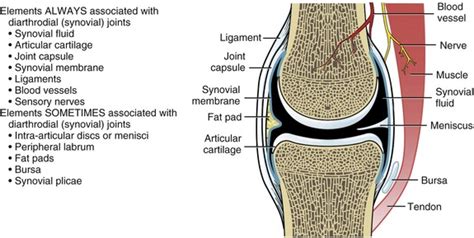 Fixed Joints Diagram