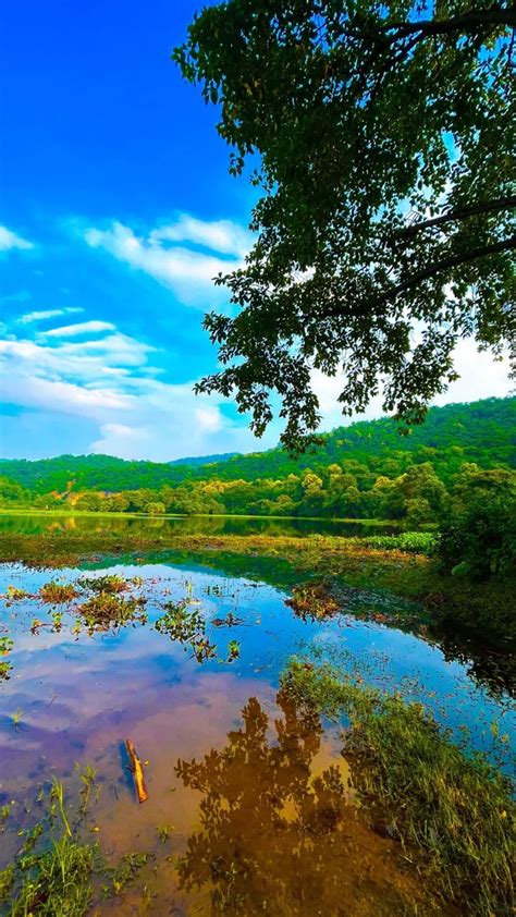 Lake Green Trees Blue Sky 4K Ultra HD Mobile Wallpaper | Nature ...