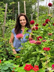 When to Plant Dahlia Bulbs: 3 Options for Lots of Beautiful Blooms