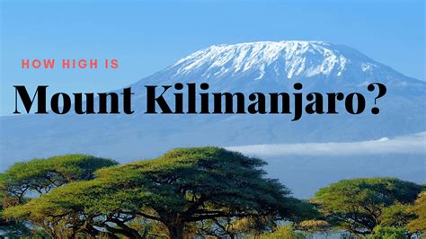 Height Of Kilimanjaro Mountain