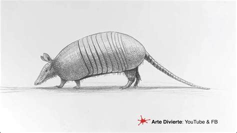 CÓMO DIBUJAR UN ARMADILLO (o quirquincho) en 2021 | Armadillo, Cómo ...