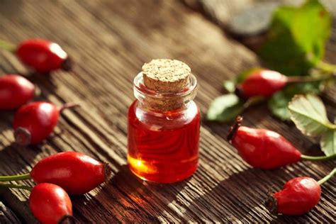 Rosehip oil: the benefits, side effects and usage | Closer