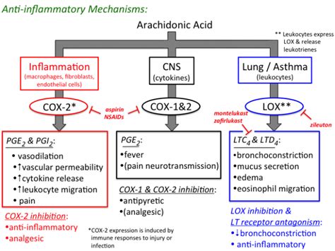 eicosanoids_draft [TUSOM | Pharmwiki]