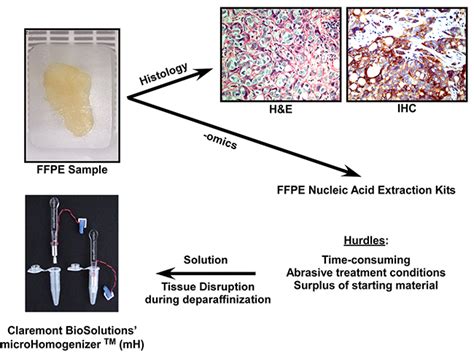 A novel method for RNA extraction from FFPE samples reveals significant ...