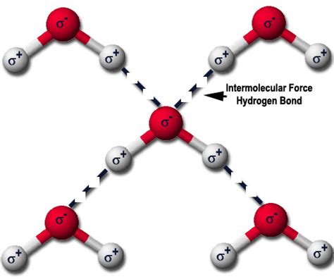 Hydrogen Bonding Intermolecular Forces