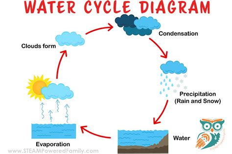 A Simple and Powerful Water Cycle Lesson