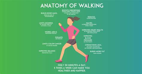 5 Reasons Walking for Weight Loss Works