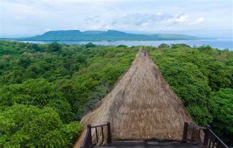 Taman Nasional Bali Barat, Wisata Edukasi yang Mempesona | Wisata Alam ...