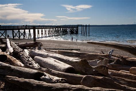 Kayak Point Park Sunset stock photo. Image of point, driftwood - 29268032