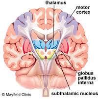 Subthalamus Medical Care Services in Faridabad | ID: 8016661073