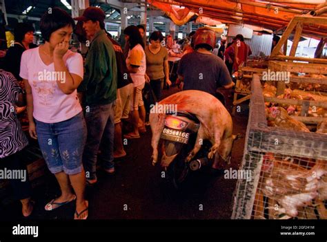 Meat market in Tomohon, North Sulawesi, Indonesia Stock Photo - Alamy